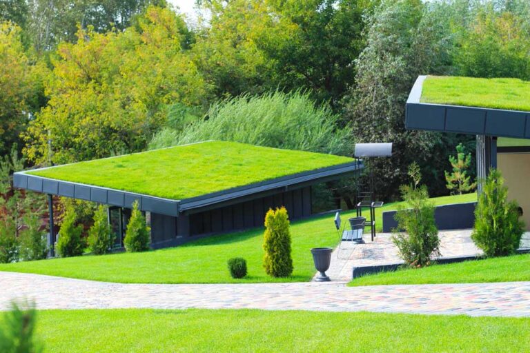 Best Modular Green Roof Solutions: Materials, Stormwater & Design Guide