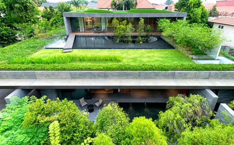 Best Rooftop Gardens for Insulation: Thermal Physics, Typologies, and Energy Design