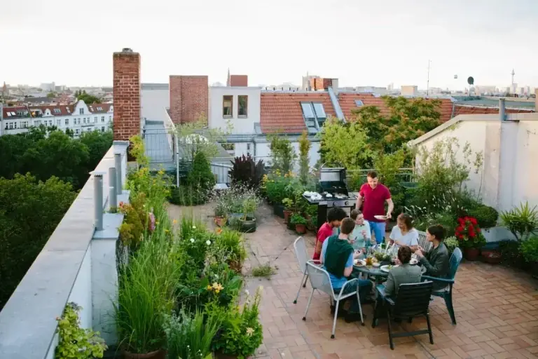 Best Rooftop Gardens for Relaxation: Design, Acoustics, and Biophilic Wellness