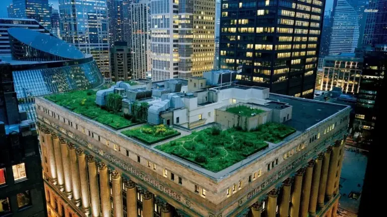 Best Rooftop Gardens for Urban Homes: Typologies, Engineering, and Costs