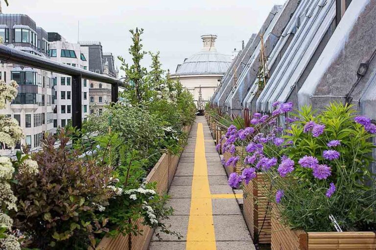 Compare Rooftop Gardens: Typologies, Engineering, and Costs