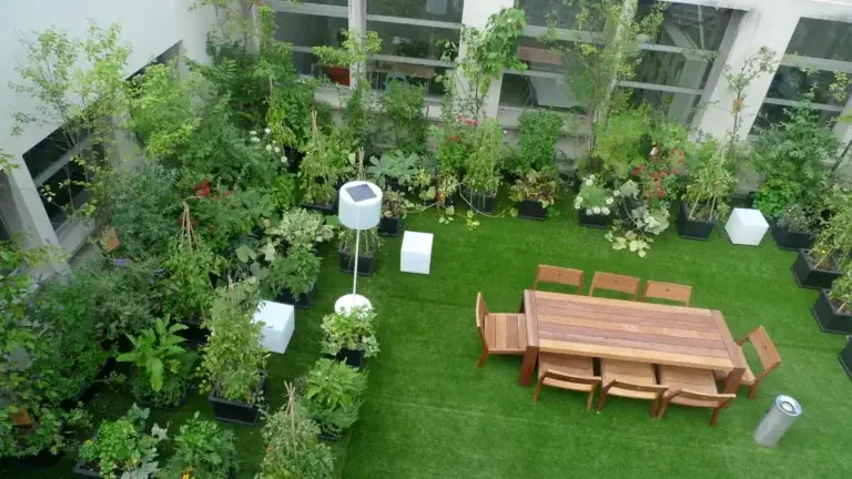 Rooftop Garden Layout Plans: Structural Design & Spatial Guide